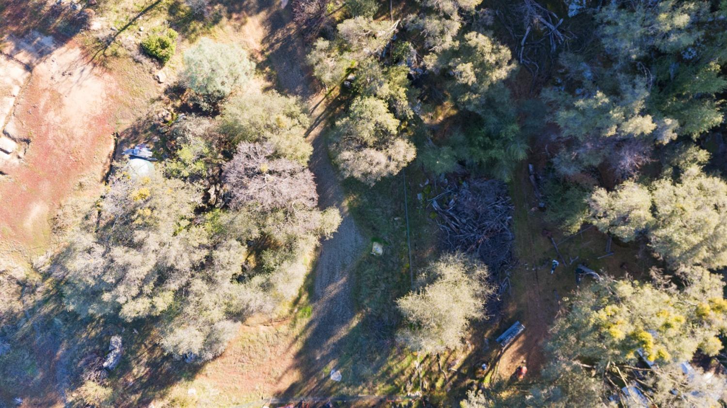 Blue Bonnet Lane, Mariposa, California image 10