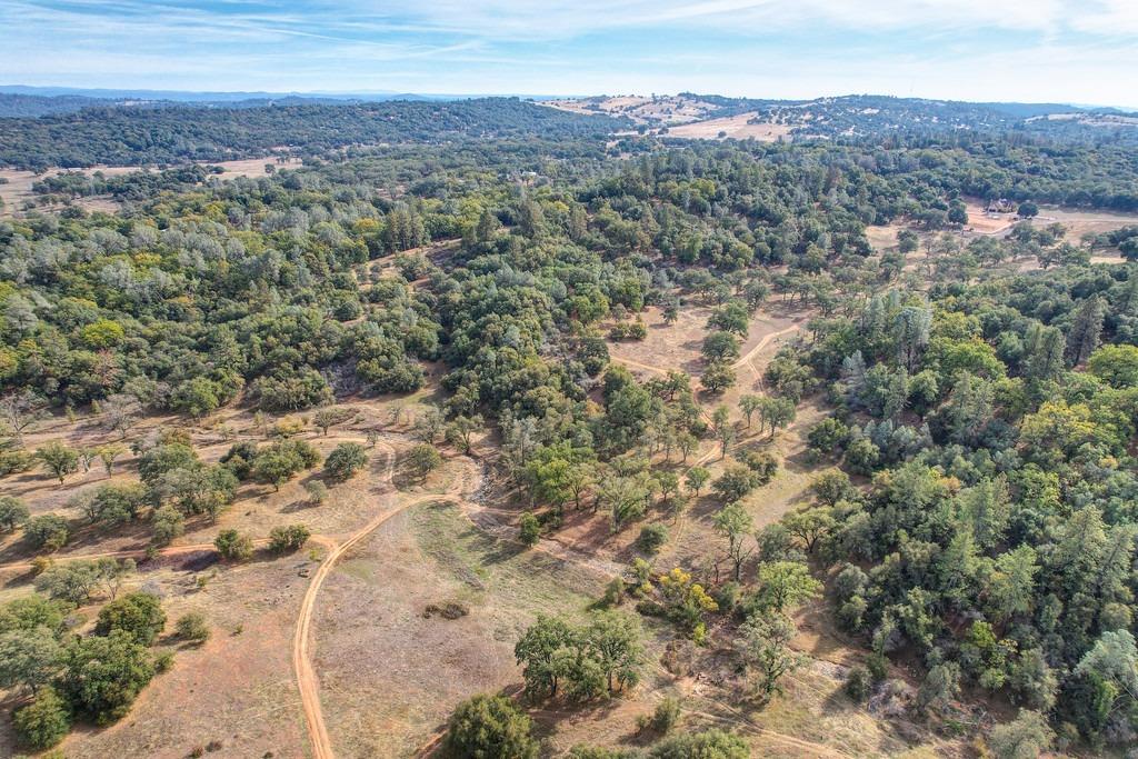 Mother Lode Drive, Placerville, California image 1