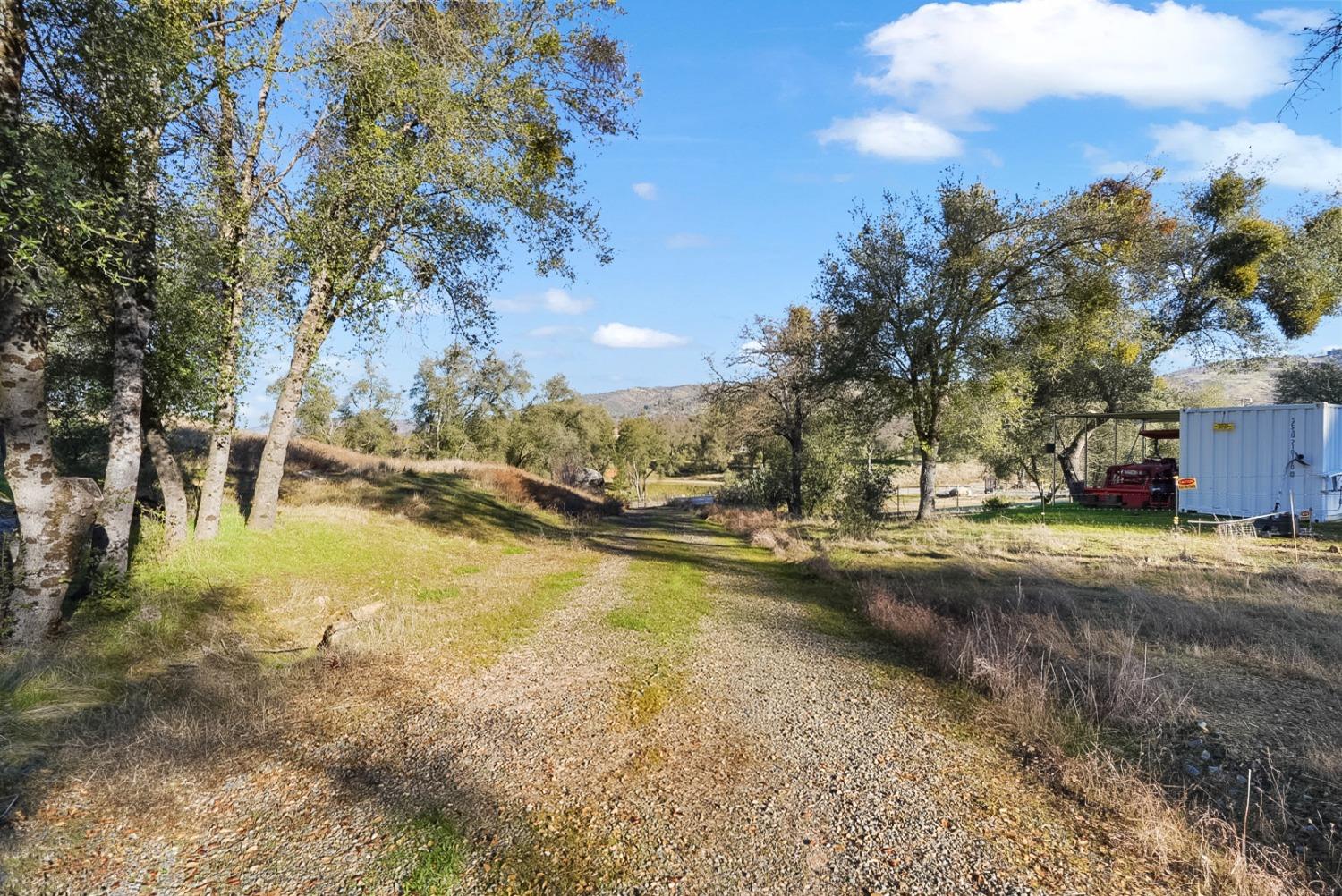 Blue Bonnet Lane, Mariposa, California image 28