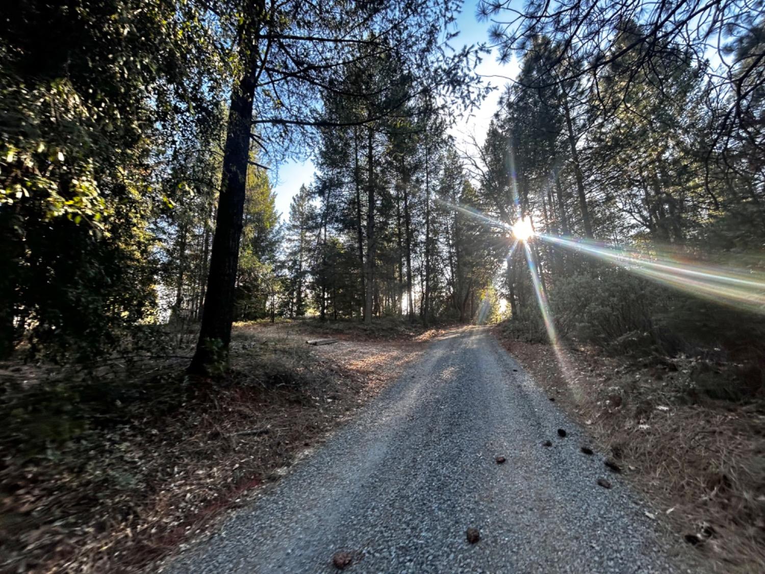 Old Emigrant Trail, Grass Valley, California image 49