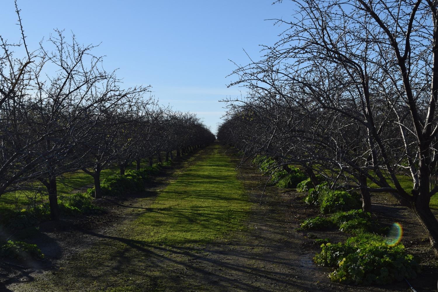 County Road 11, Esparto, California image 23