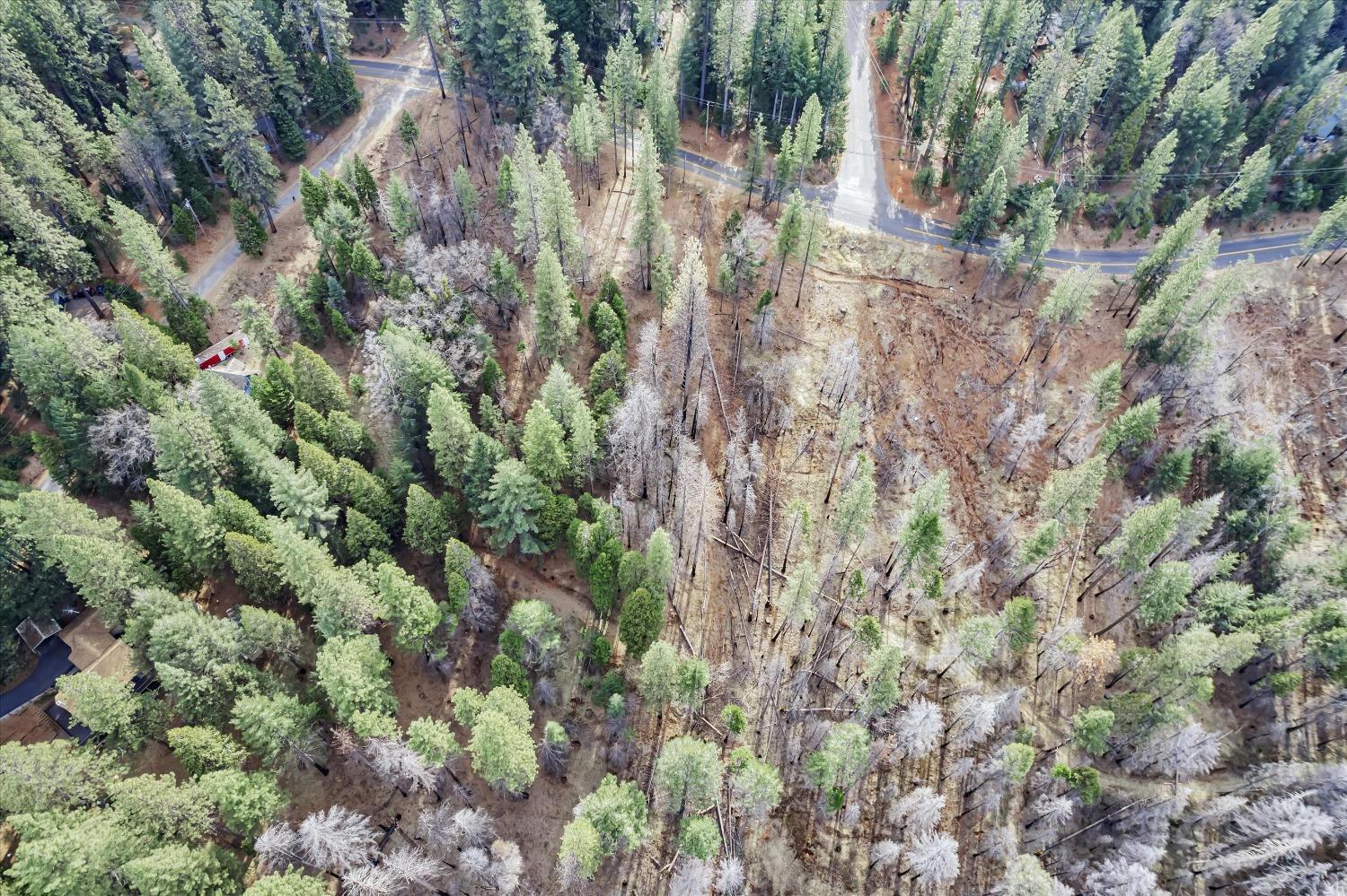 Grizzly Flat Road, Grizzly Flats, California image 9