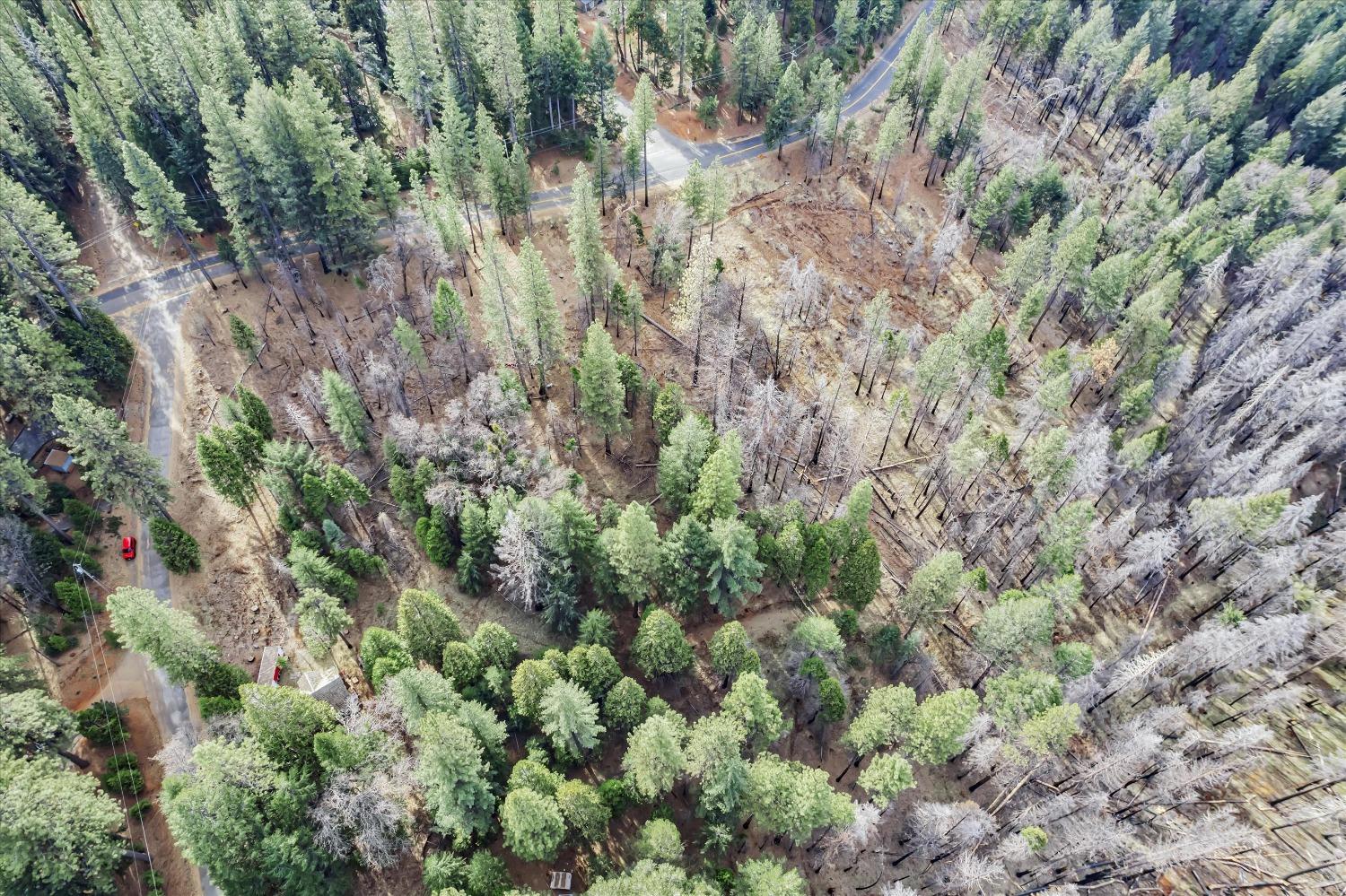 Grizzly Flat Road, Grizzly Flats, California image 10