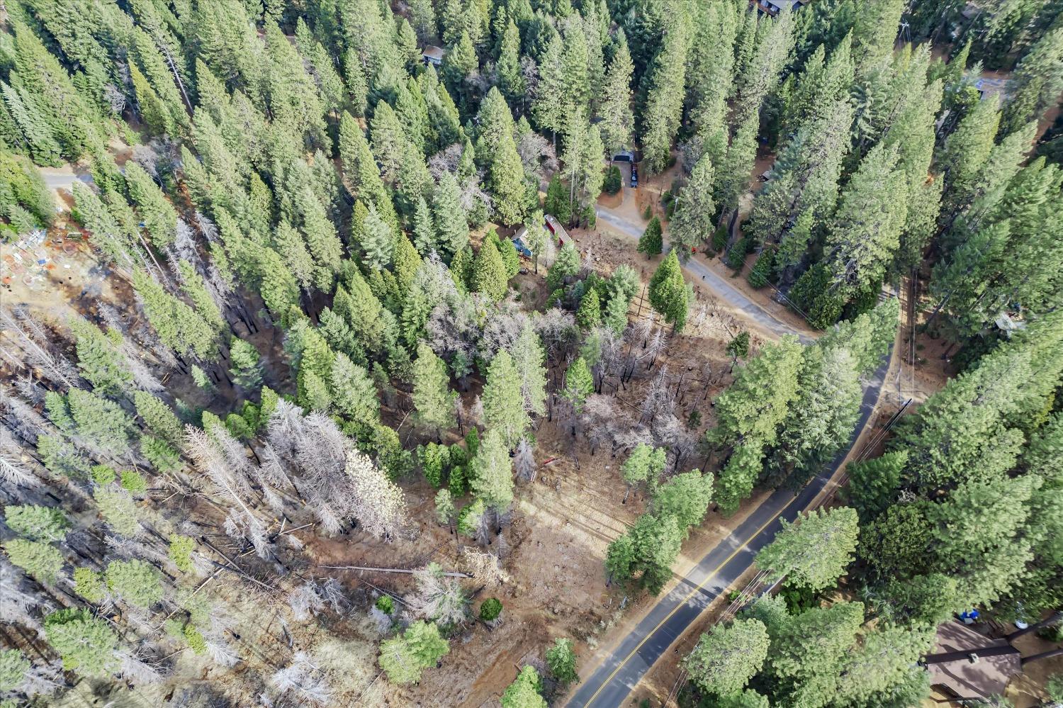 Grizzly Flat Road, Grizzly Flats, California image 6