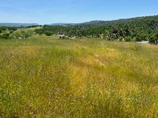 Cheyenne Road, Copperopolis, California image 2