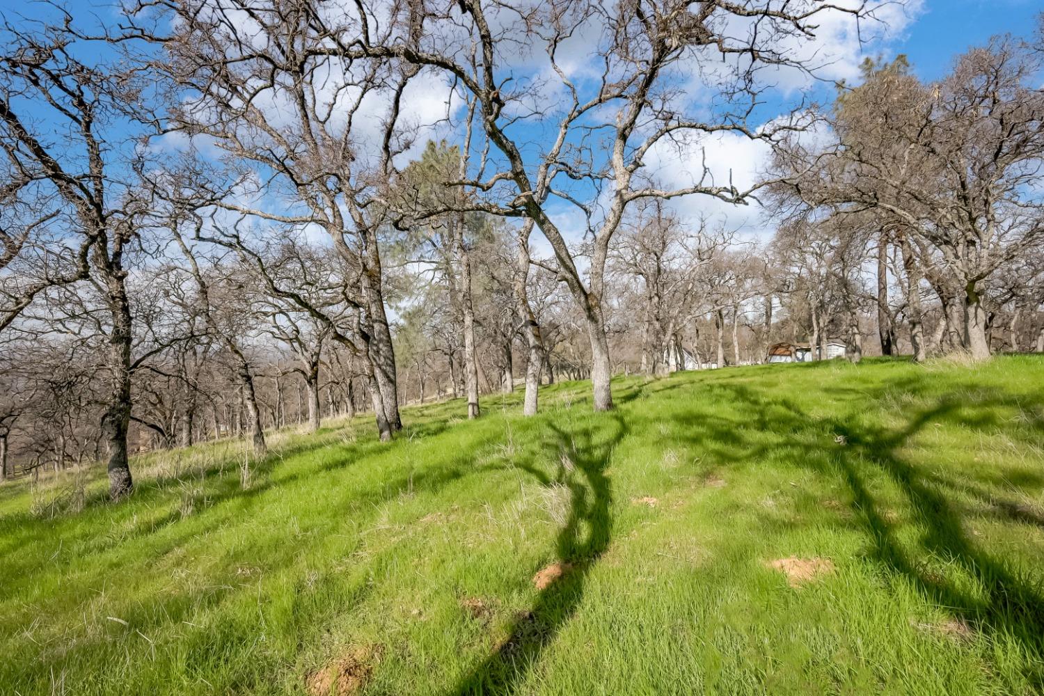 Detail Gallery Image 62 of 62 For 211 Sunny Hills Rd, Bangor,  CA 95901 - 2 Beds | 2 Baths