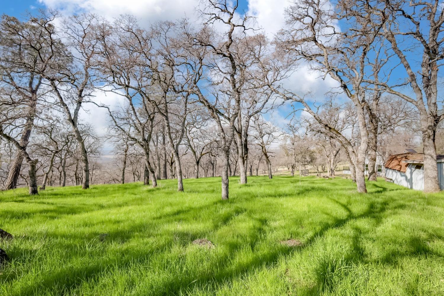 Detail Gallery Image 59 of 62 For 211 Sunny Hills Rd, Bangor,  CA 95901 - 2 Beds | 2 Baths