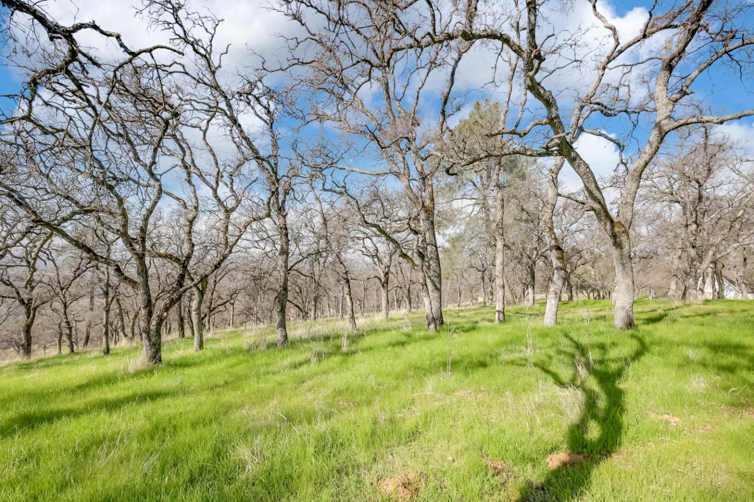 Detail Gallery Image 60 of 62 For 211 Sunny Hills Rd, Bangor,  CA 95901 - 2 Beds | 2 Baths