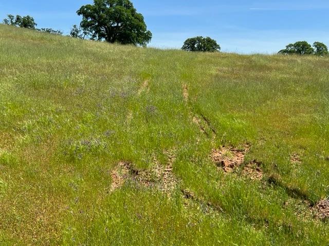 Cheyenne Road, Copperopolis, California image 10