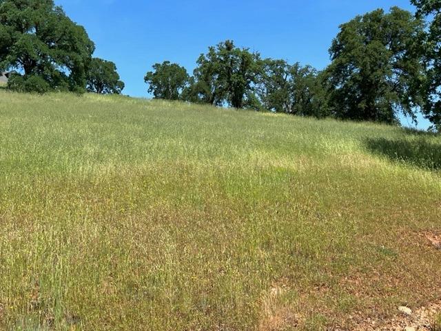 Cheyenne Road, Copperopolis, California image 14