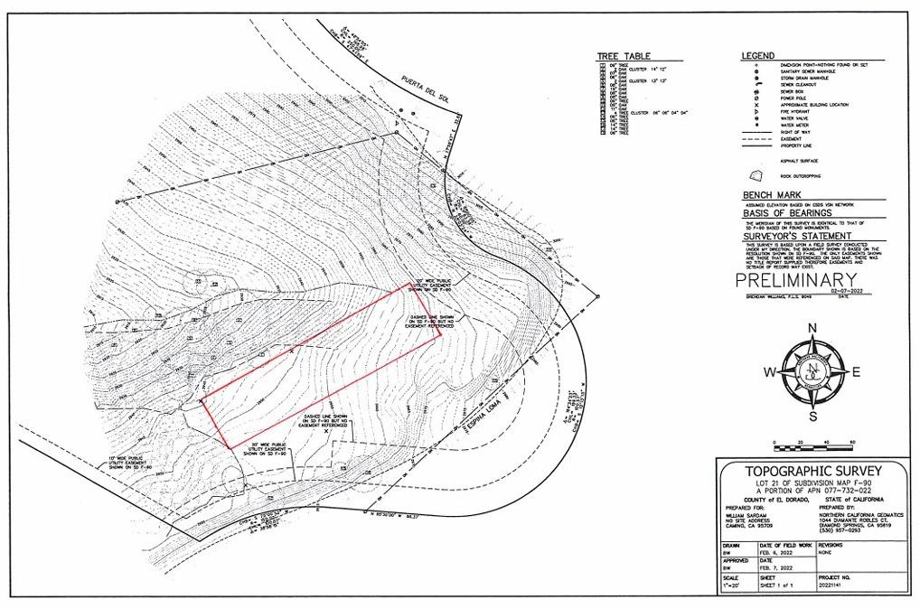 Espina Loma Lot 21 Drive, Camino, California image 20