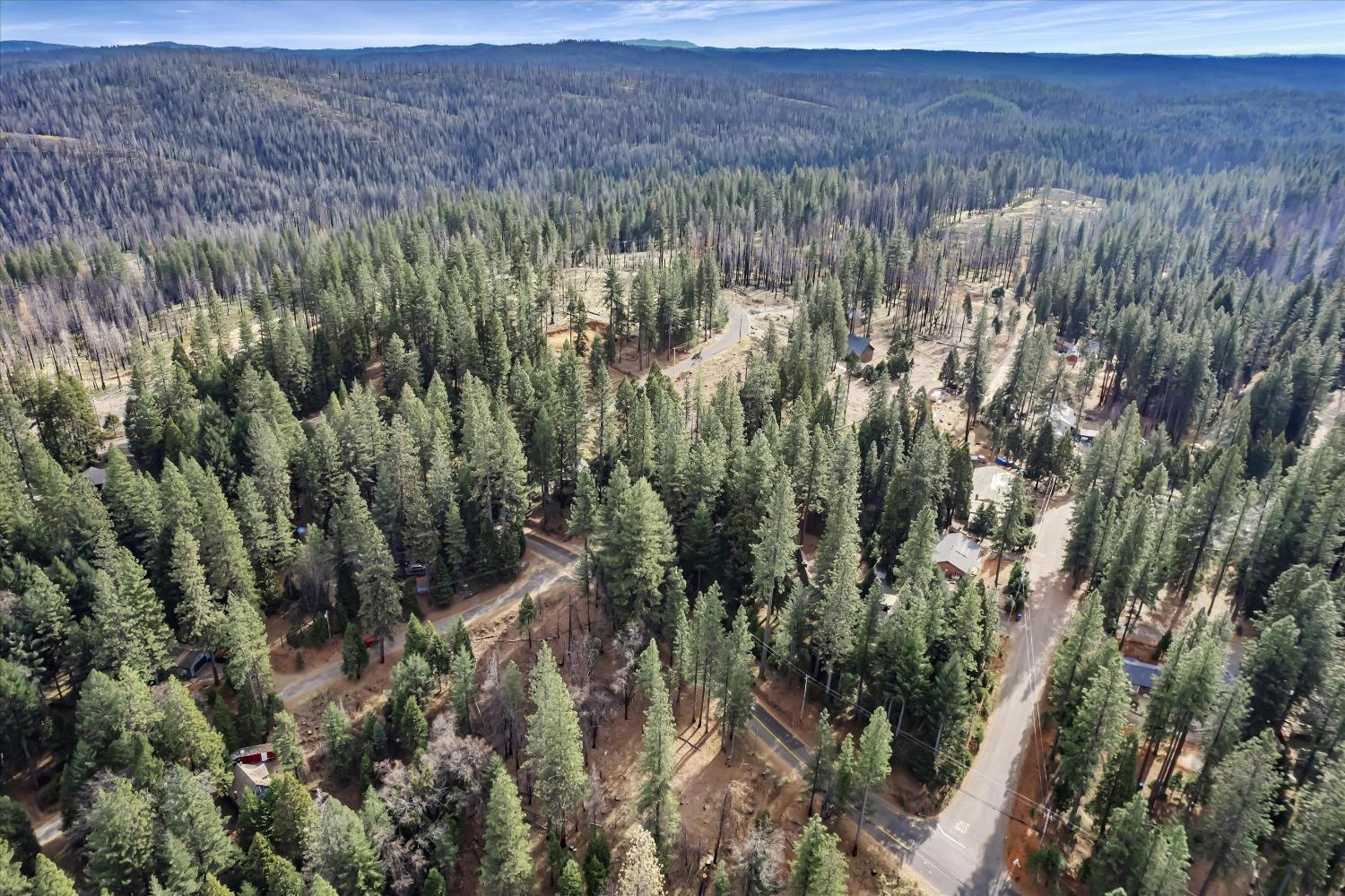 Grizzly Flat Road, Grizzly Flats, California image 1