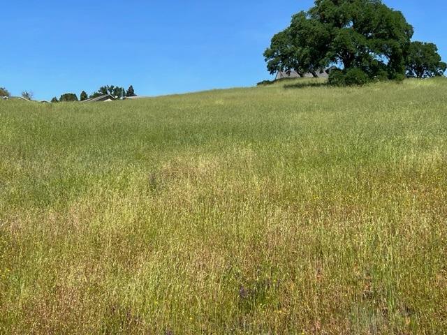 Cheyenne Road, Copperopolis, California image 12