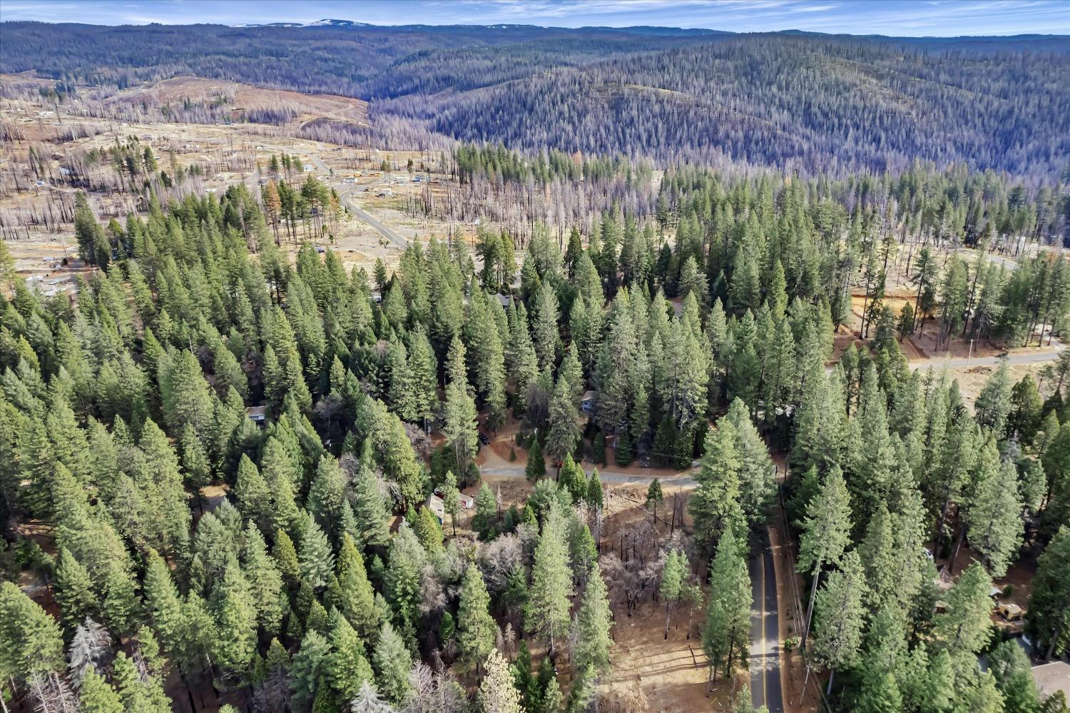 Grizzly Flat Road, Grizzly Flats, California image 7