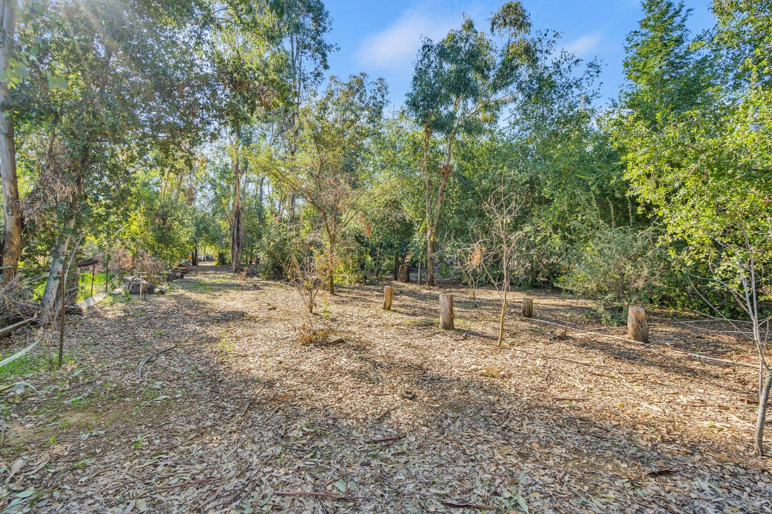 Detail Gallery Image 47 of 79 For 11909 Giusti Rd, Herald,  CA 95638 - 3 Beds | 2/1 Baths
