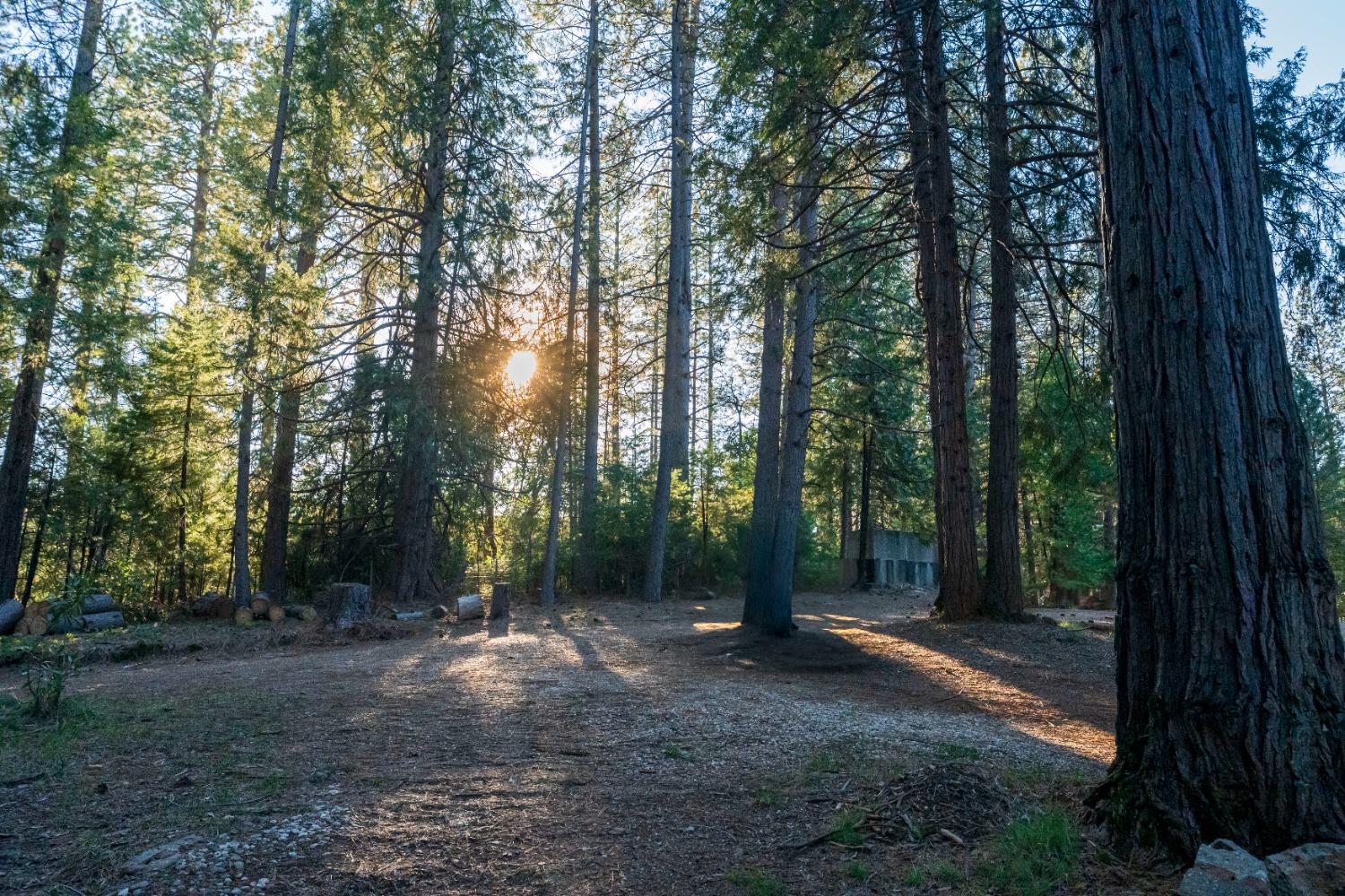 Gold Flat Road, Nevada City, California image 8