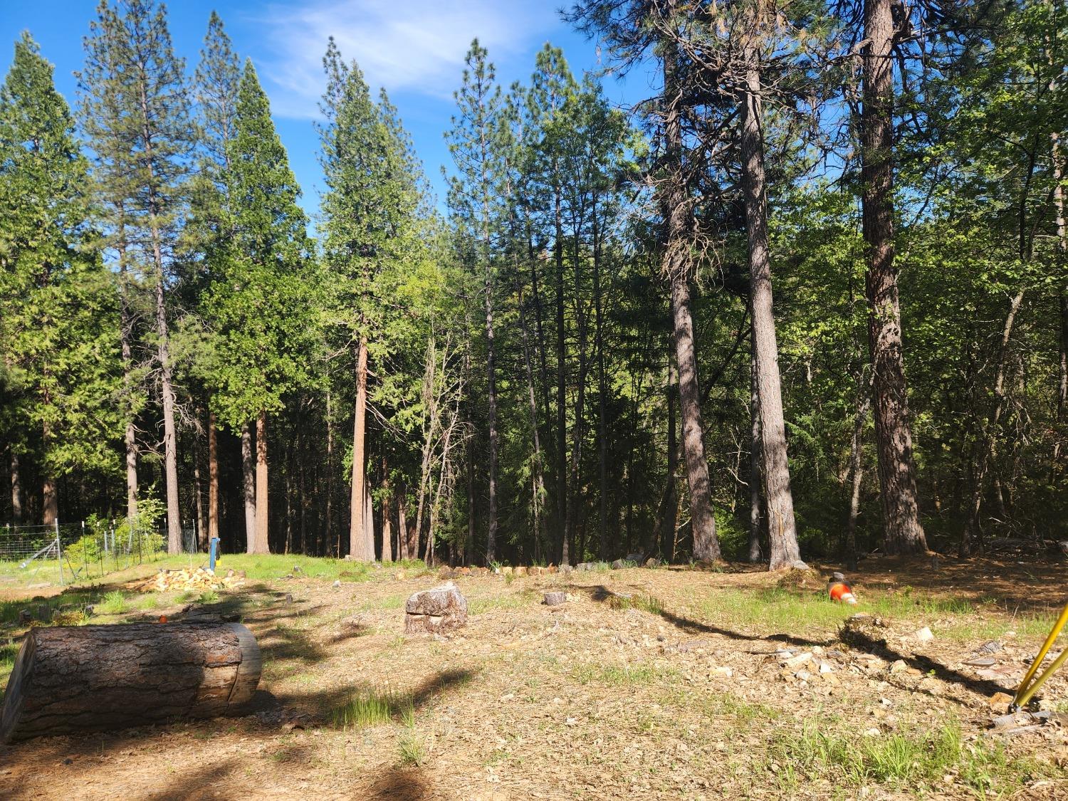 Five Spot Road, Pollock Pines, California image 5