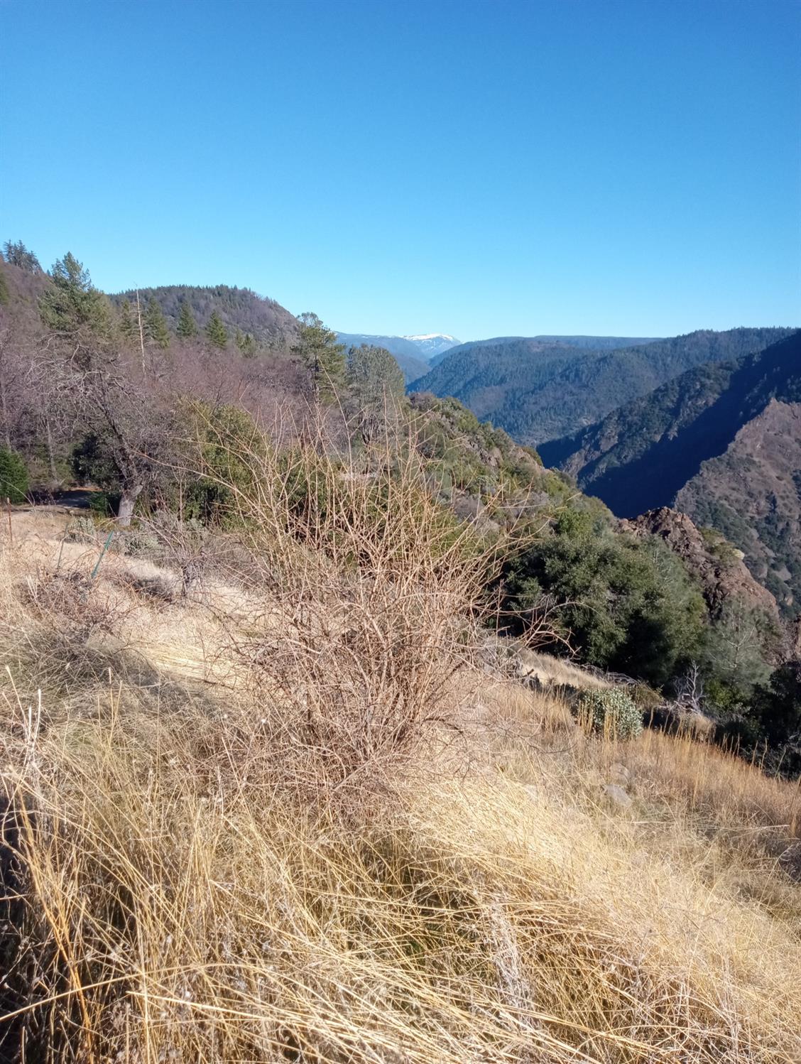 Moody Ridge, Gold Run, California image 3