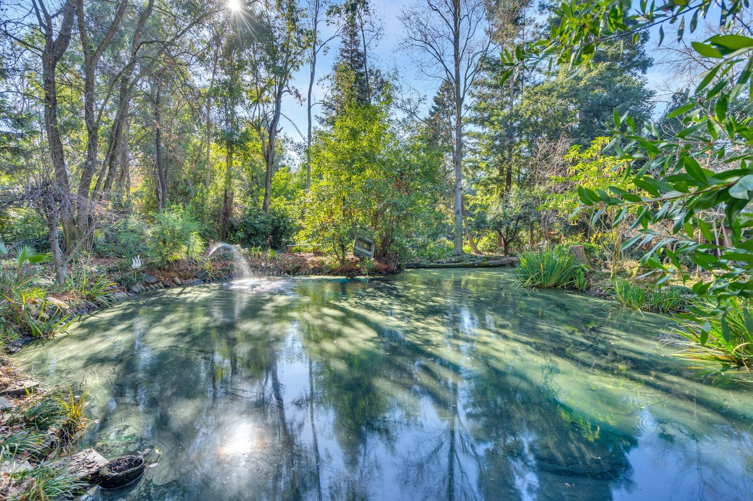 Detail Gallery Image 42 of 79 For 11909 Giusti Rd, Herald,  CA 95638 - 3 Beds | 2/1 Baths