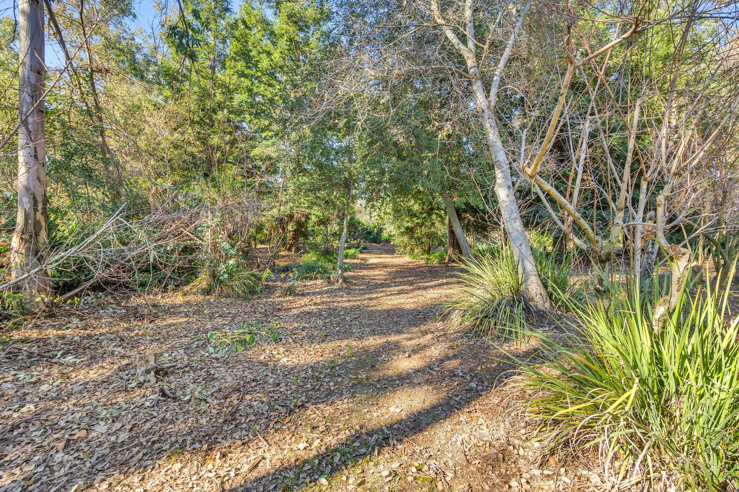 Detail Gallery Image 53 of 79 For 11909 Giusti Rd, Herald,  CA 95638 - 3 Beds | 2/1 Baths