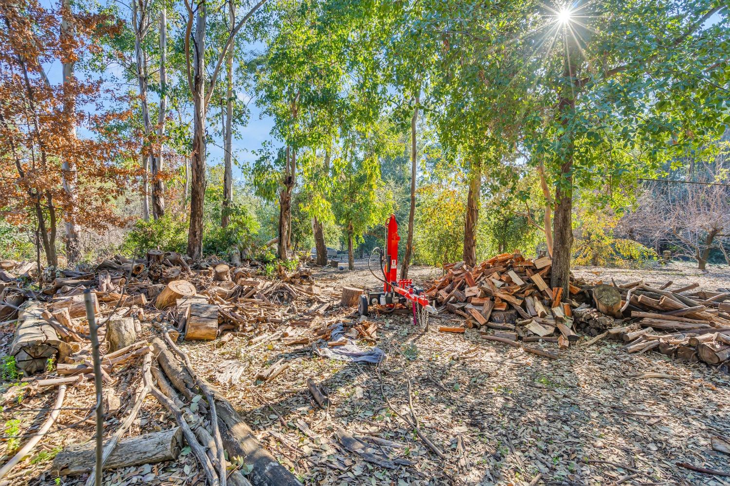 Detail Gallery Image 54 of 79 For 11909 Giusti Rd, Herald,  CA 95638 - 3 Beds | 2/1 Baths