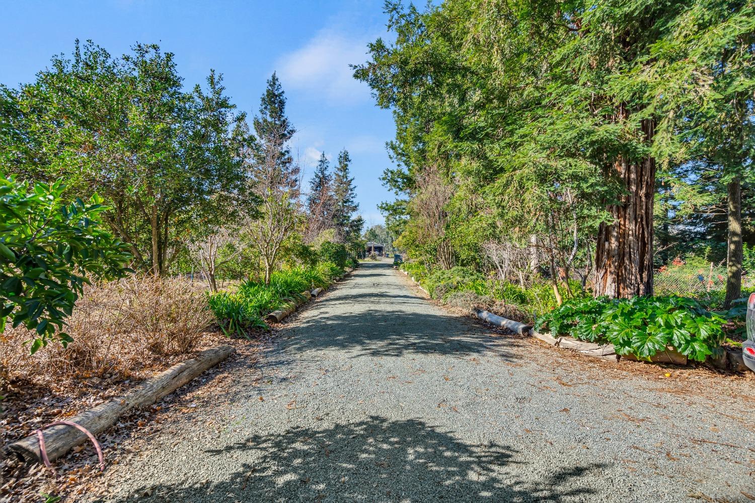 Detail Gallery Image 2 of 79 For 11909 Giusti Rd, Herald,  CA 95638 - 3 Beds | 2/1 Baths