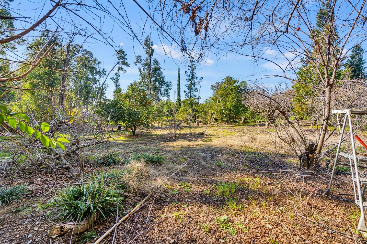 Detail Gallery Image 62 of 79 For 11909 Giusti Rd, Herald,  CA 95638 - 3 Beds | 2/1 Baths