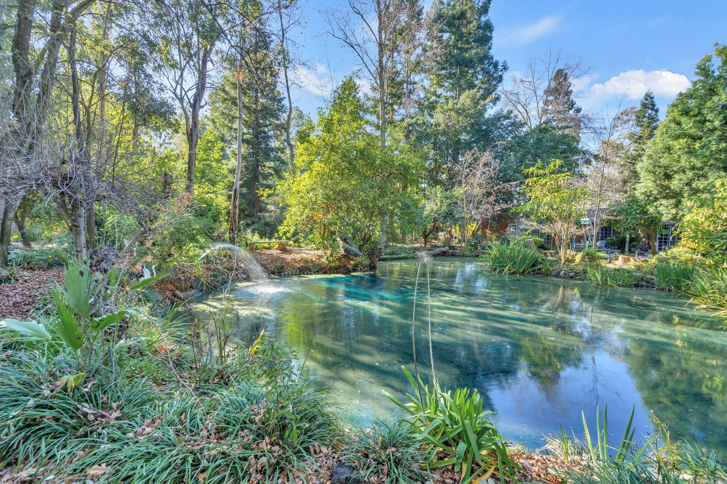 Detail Gallery Image 40 of 79 For 11909 Giusti Rd, Herald,  CA 95638 - 3 Beds | 2/1 Baths