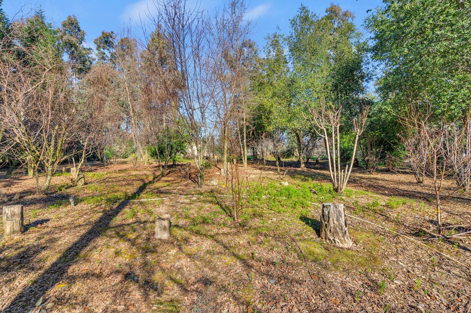 Detail Gallery Image 52 of 79 For 11909 Giusti Rd, Herald,  CA 95638 - 3 Beds | 2/1 Baths