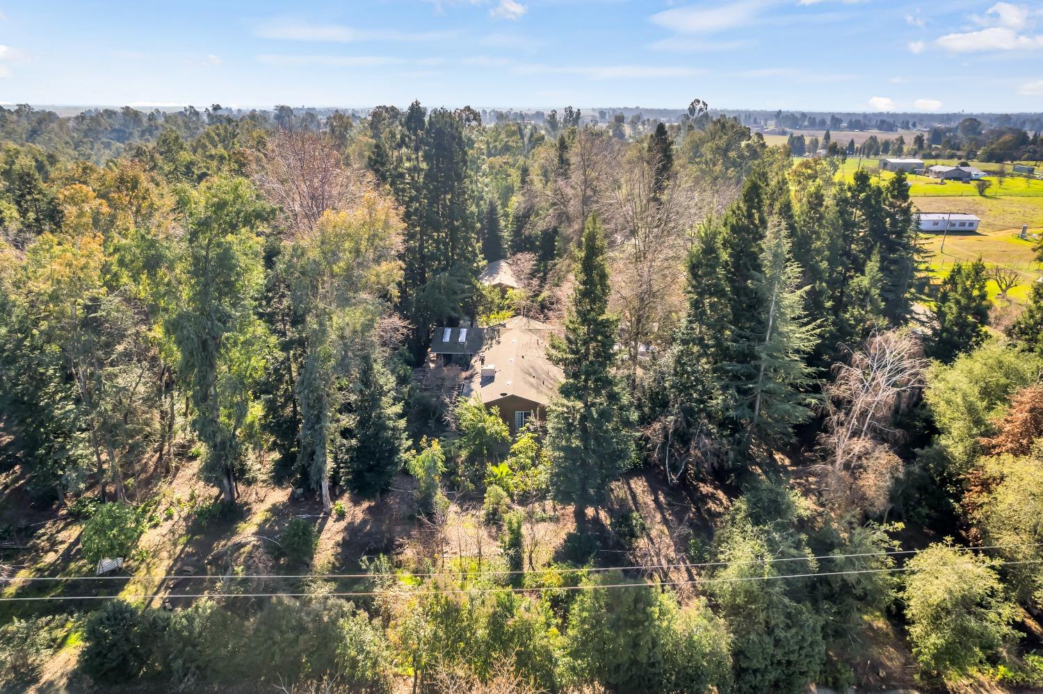 Detail Gallery Image 69 of 79 For 11909 Giusti Rd, Herald,  CA 95638 - 3 Beds | 2/1 Baths