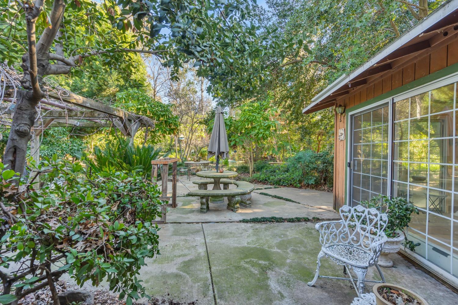 Detail Gallery Image 39 of 79 For 11909 Giusti Rd, Herald,  CA 95638 - 3 Beds | 2/1 Baths