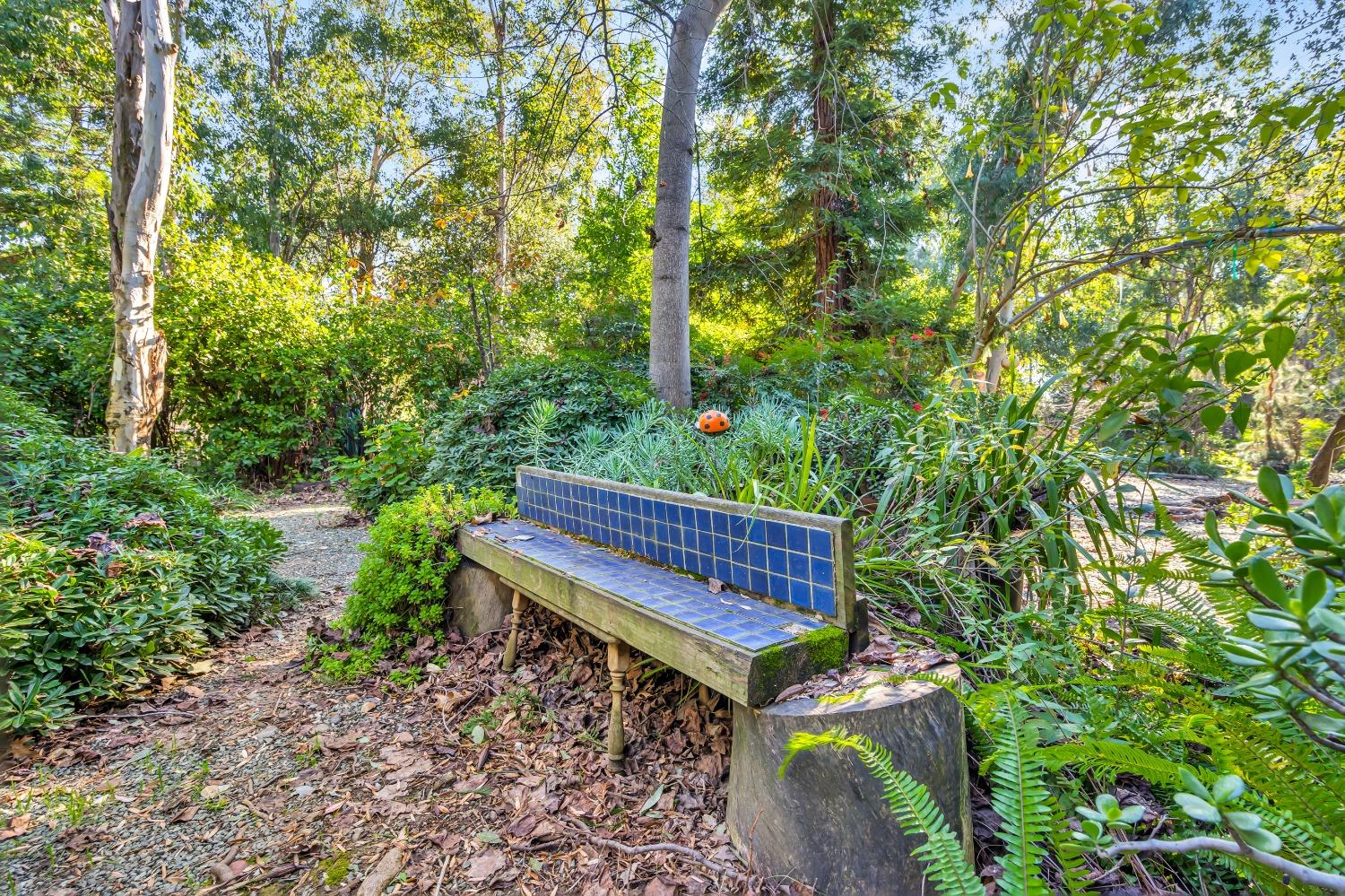 Detail Gallery Image 46 of 79 For 11909 Giusti Rd, Herald,  CA 95638 - 3 Beds | 2/1 Baths
