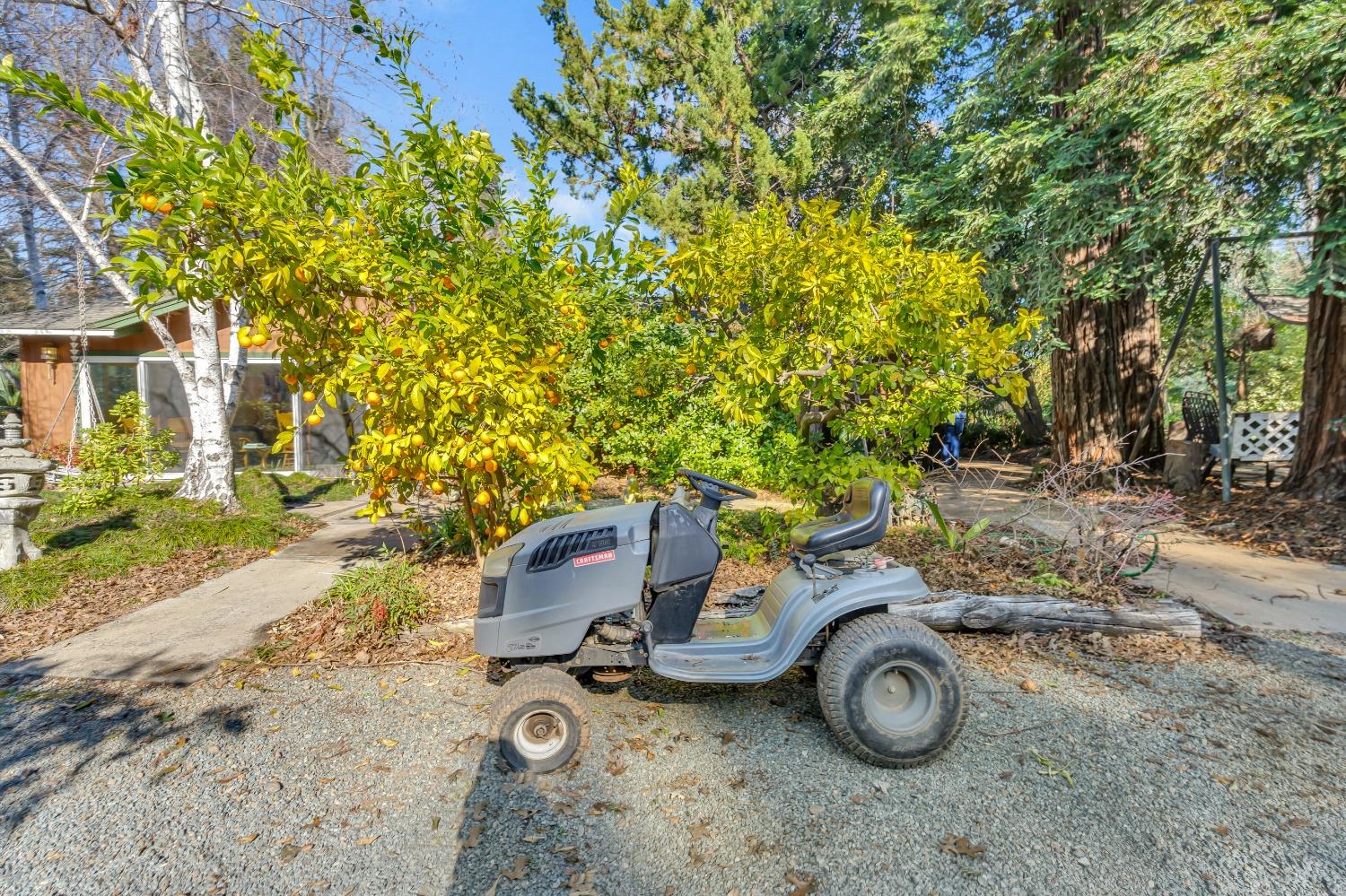 Detail Gallery Image 60 of 79 For 11909 Giusti Rd, Herald,  CA 95638 - 3 Beds | 2/1 Baths