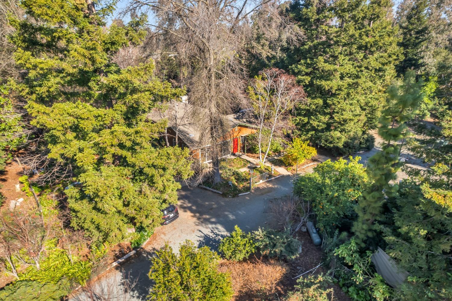 Detail Gallery Image 71 of 79 For 11909 Giusti Rd, Herald,  CA 95638 - 3 Beds | 2/1 Baths