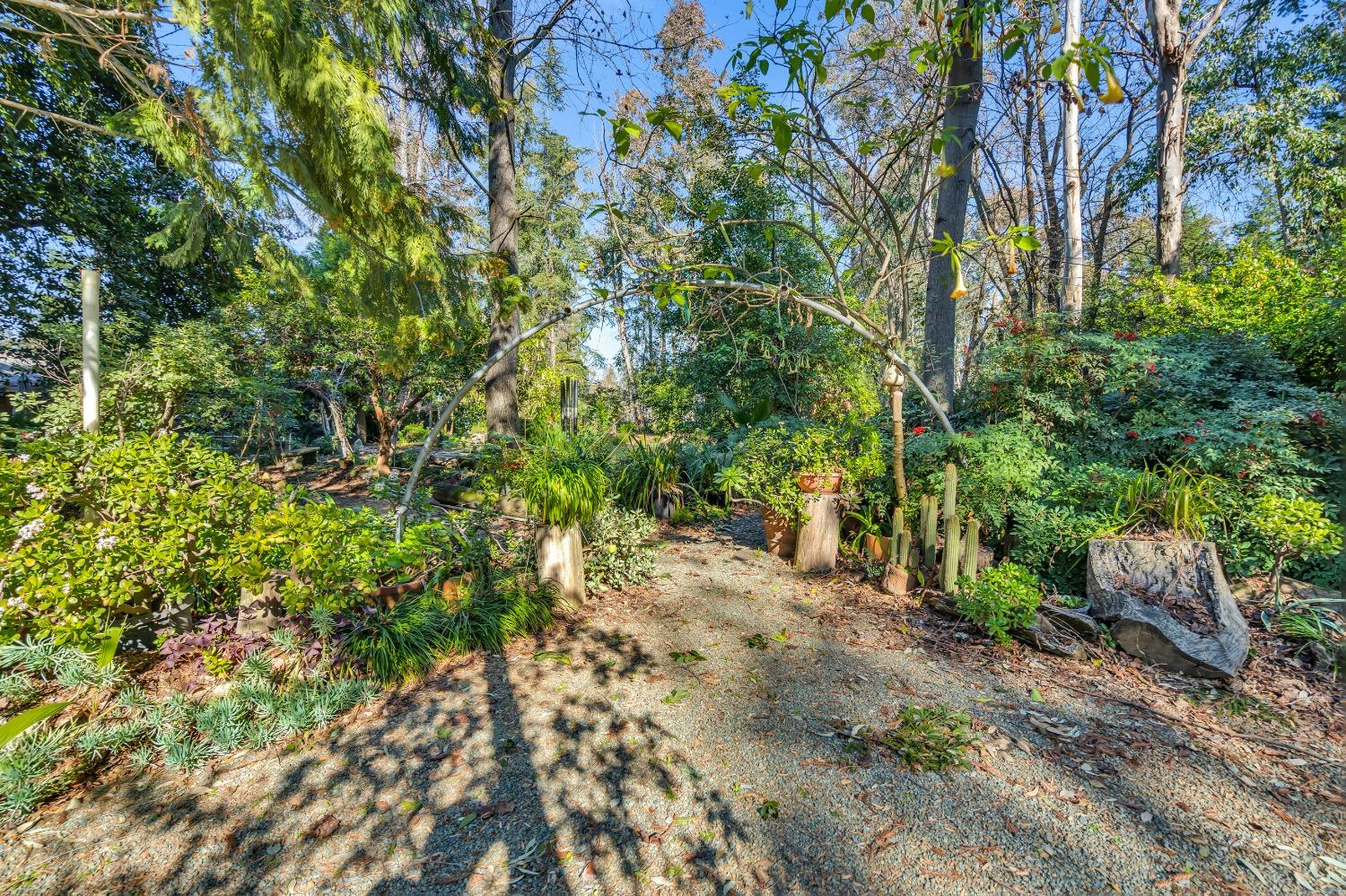 Detail Gallery Image 79 of 79 For 11909 Giusti Rd, Herald,  CA 95638 - 3 Beds | 2/1 Baths