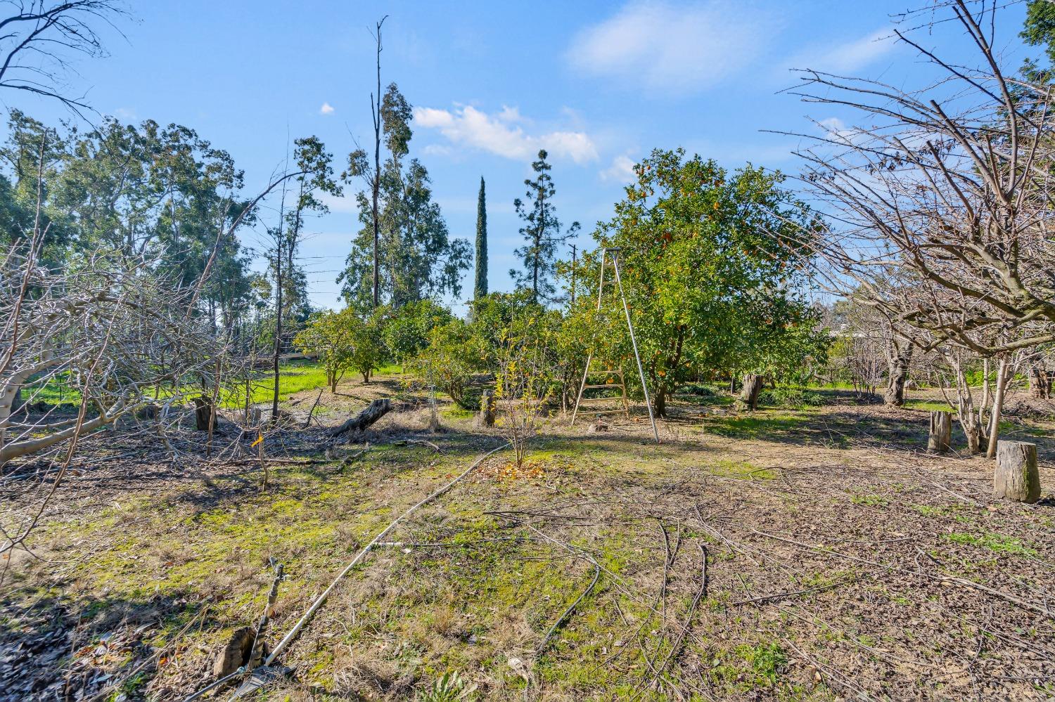 Detail Gallery Image 63 of 79 For 11909 Giusti Rd, Herald,  CA 95638 - 3 Beds | 2/1 Baths