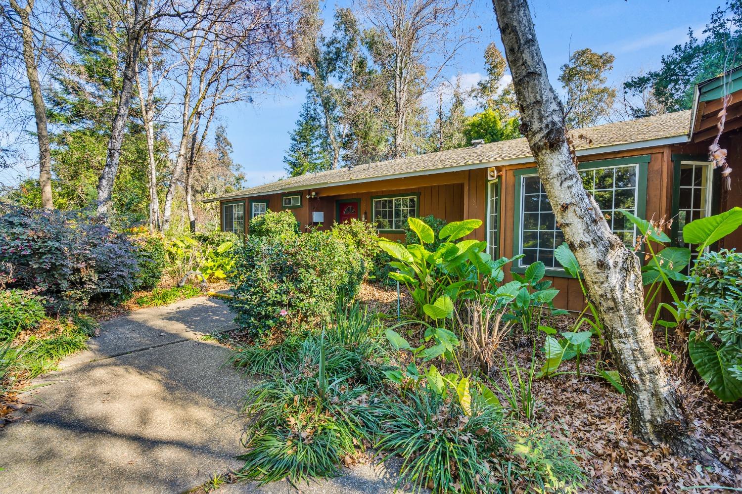 Detail Gallery Image 6 of 79 For 11909 Giusti Rd, Herald,  CA 95638 - 3 Beds | 2/1 Baths