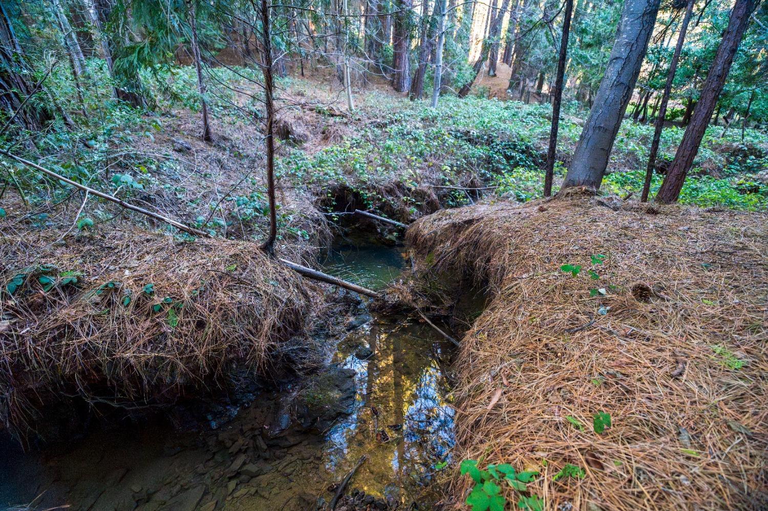 Gold Flat Road, Nevada City, California image 6