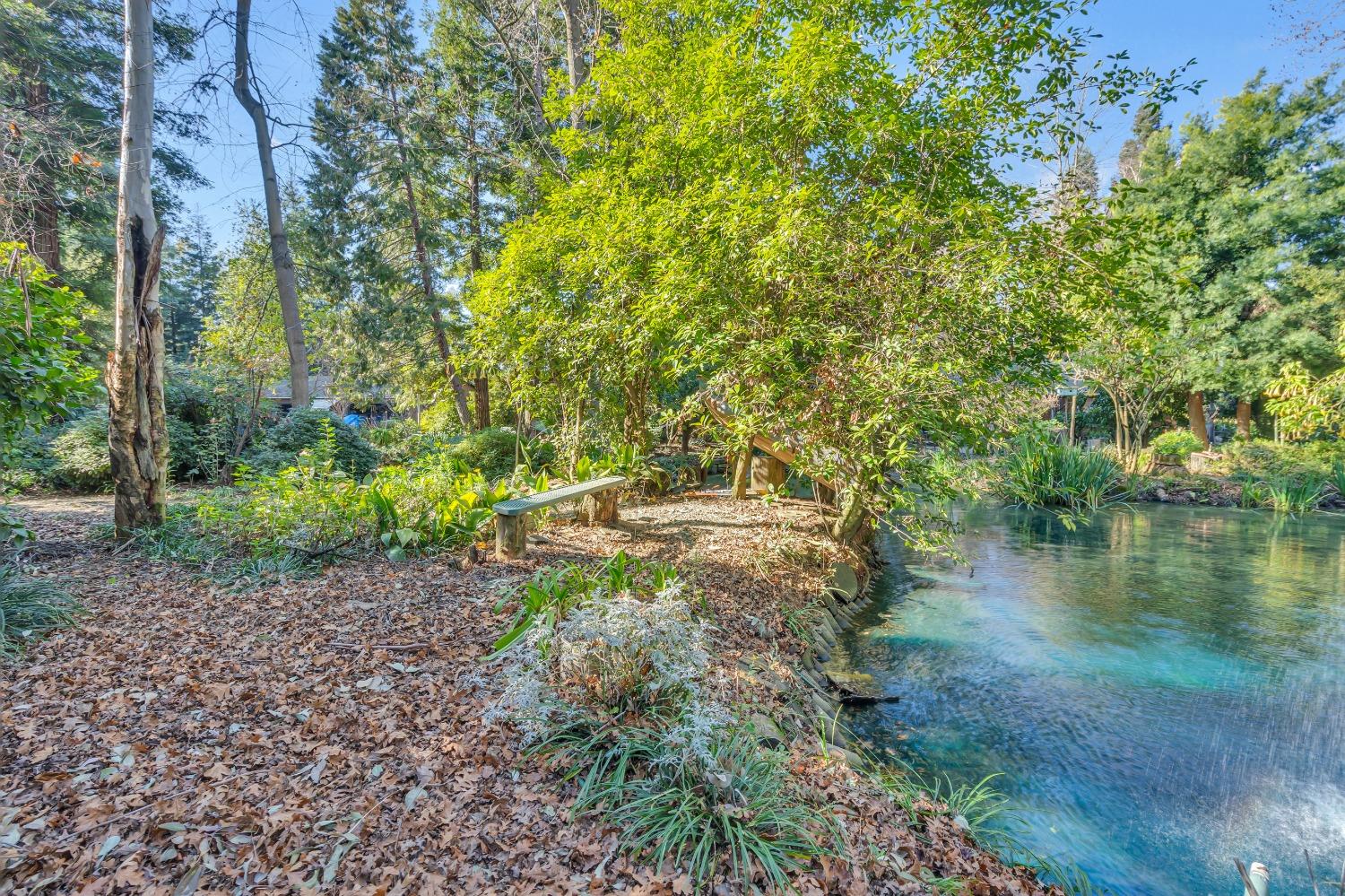 Detail Gallery Image 43 of 79 For 11909 Giusti Rd, Herald,  CA 95638 - 3 Beds | 2/1 Baths