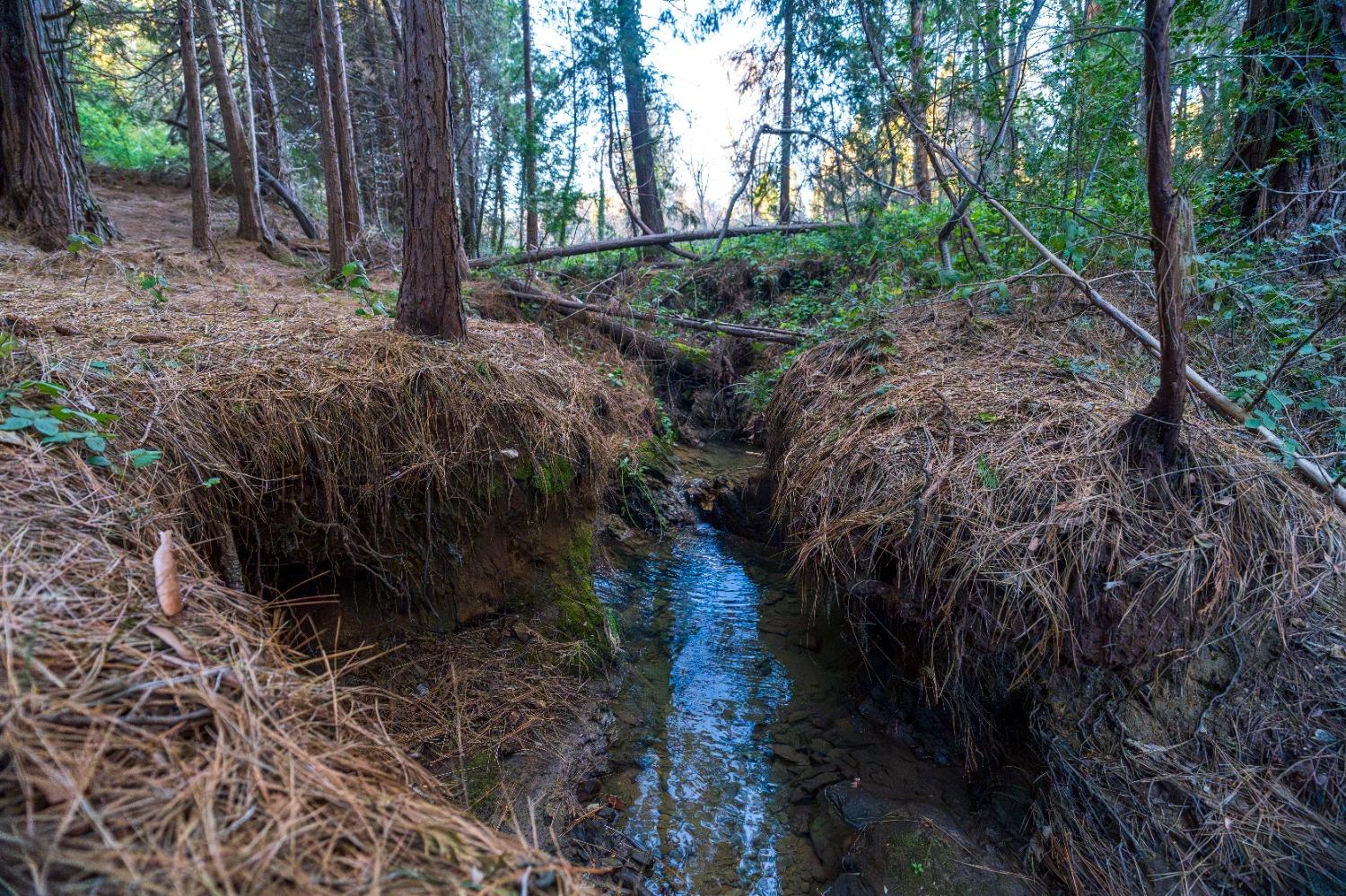 Gold Flat Road, Nevada City, California image 16