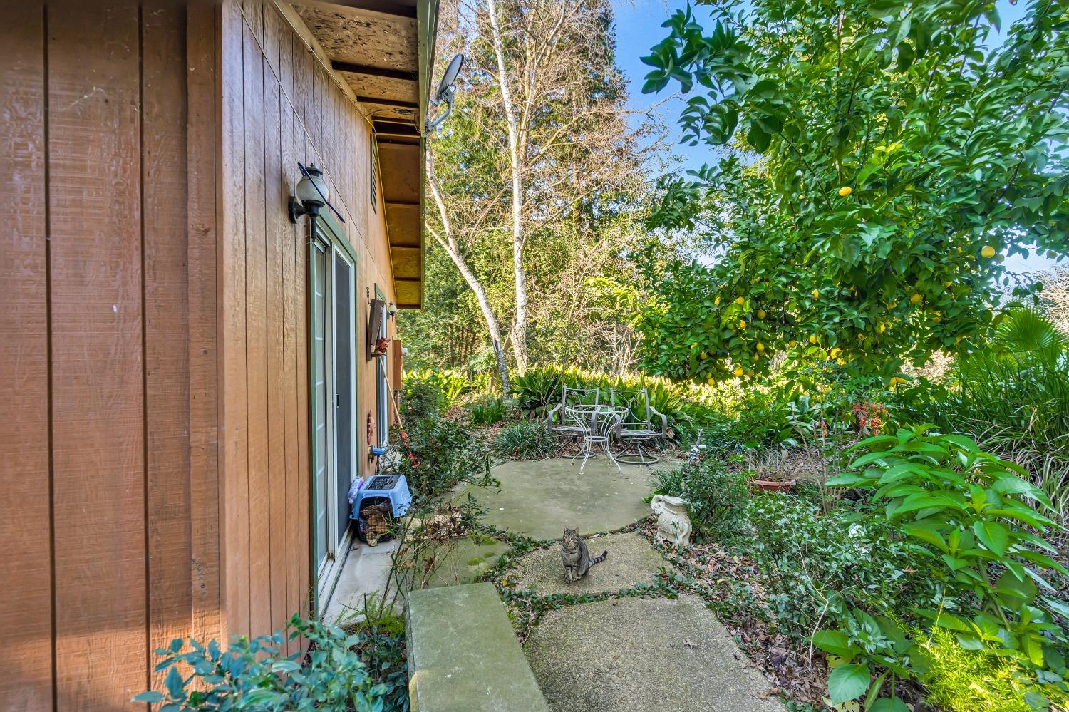 Detail Gallery Image 37 of 79 For 11909 Giusti Rd, Herald,  CA 95638 - 3 Beds | 2/1 Baths