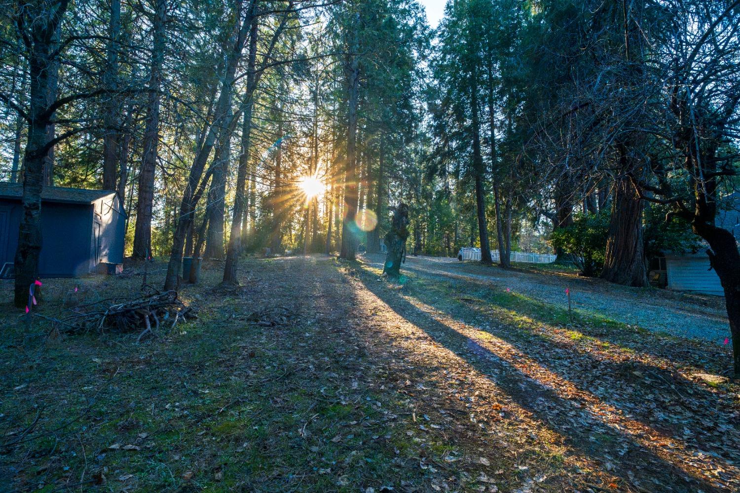 Gold Flat Road, Nevada City, California image 19