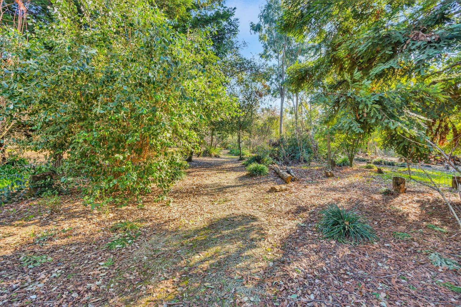 Detail Gallery Image 55 of 79 For 11909 Giusti Rd, Herald,  CA 95638 - 3 Beds | 2/1 Baths