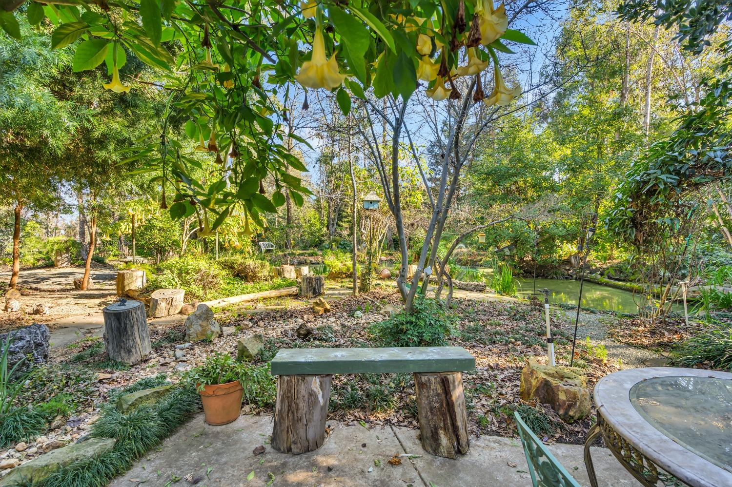Detail Gallery Image 57 of 79 For 11909 Giusti Rd, Herald,  CA 95638 - 3 Beds | 2/1 Baths