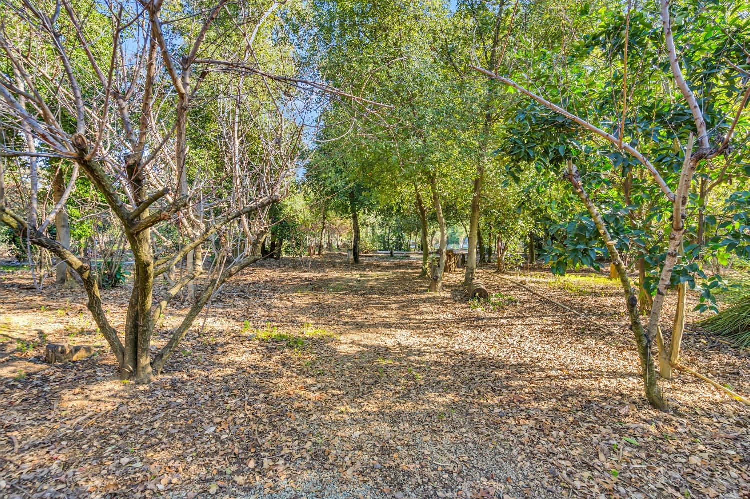 Detail Gallery Image 51 of 79 For 11909 Giusti Rd, Herald,  CA 95638 - 3 Beds | 2/1 Baths