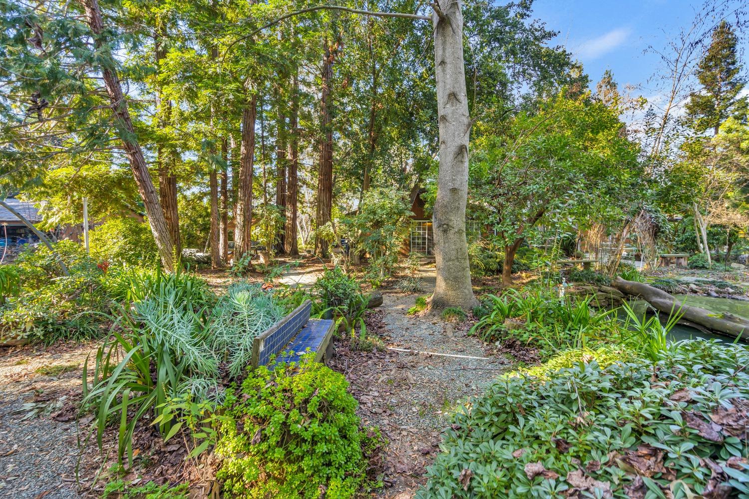 Detail Gallery Image 44 of 79 For 11909 Giusti Rd, Herald,  CA 95638 - 3 Beds | 2/1 Baths