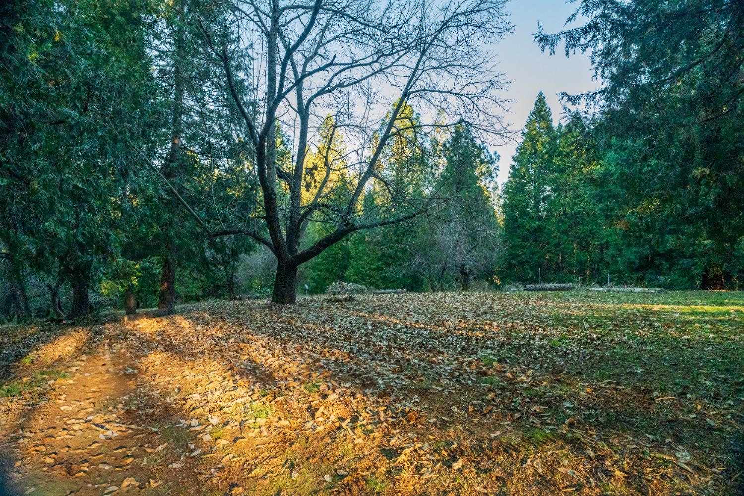 Gold Flat Road, Nevada City, California image 3