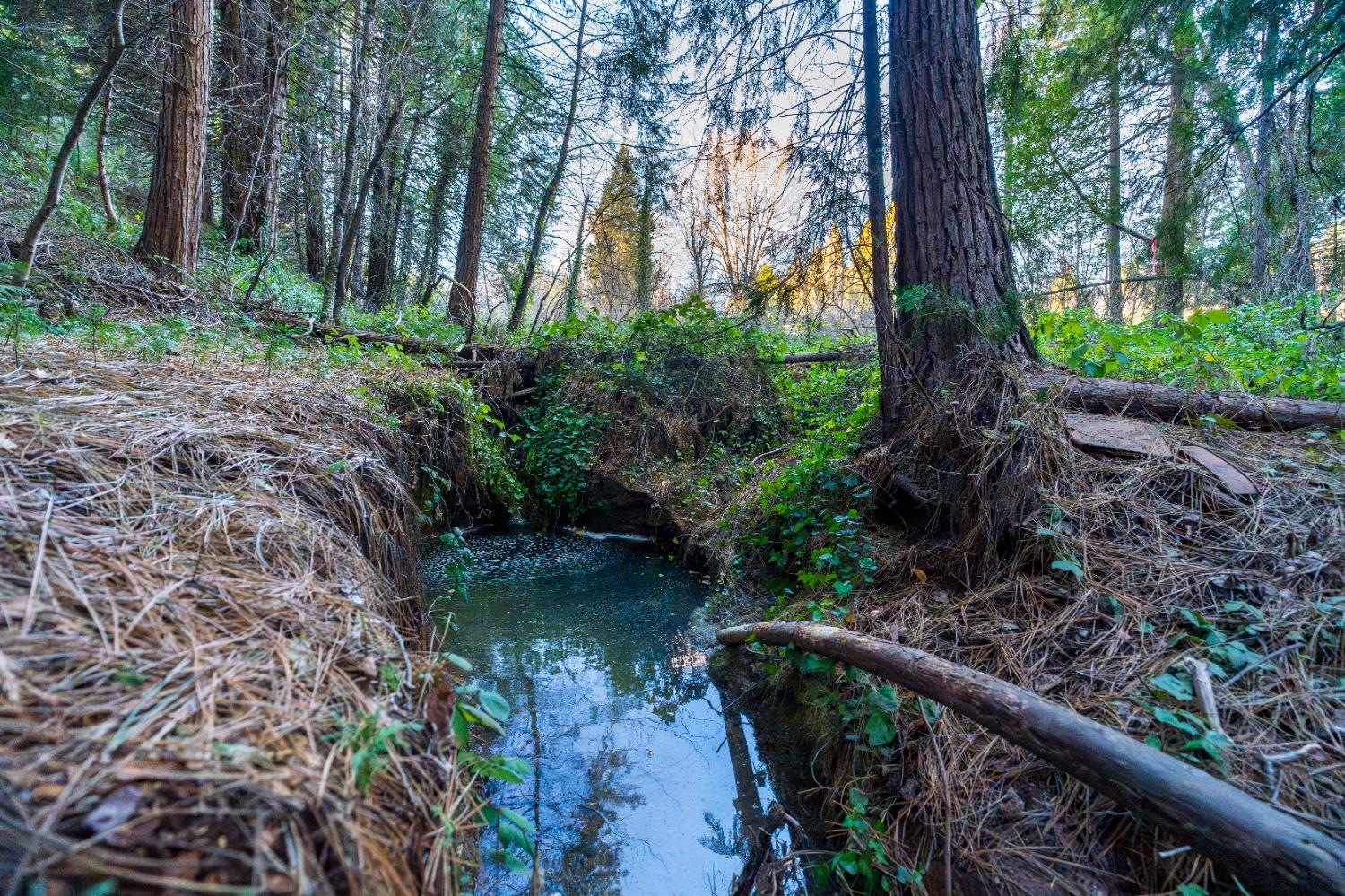 Gold Flat Road, Nevada City, California image 17