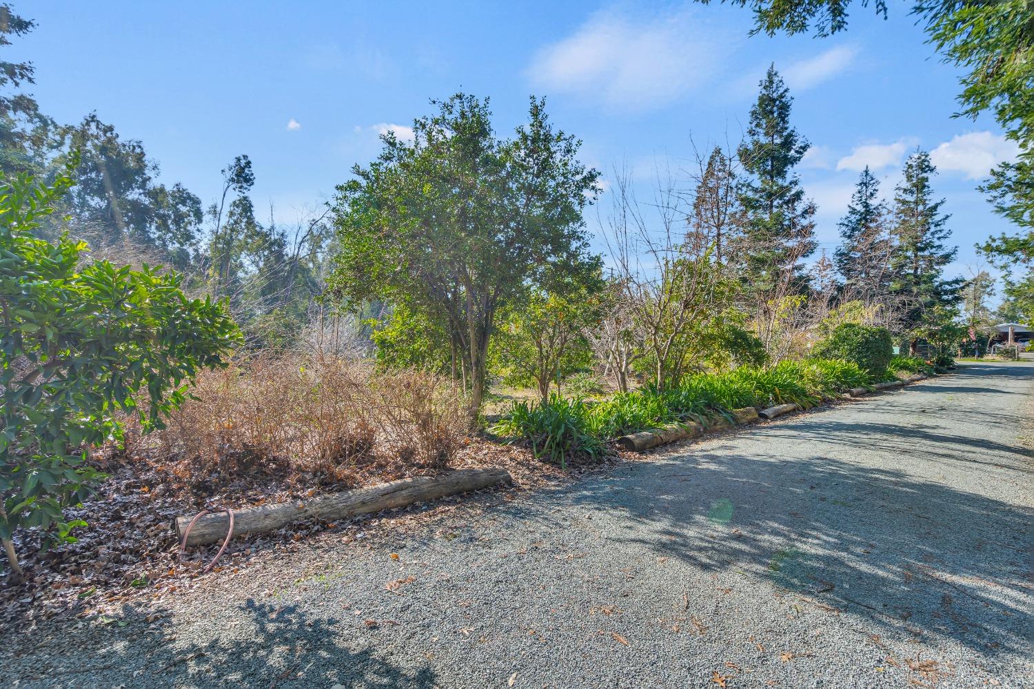 Detail Gallery Image 3 of 79 For 11909 Giusti Rd, Herald,  CA 95638 - 3 Beds | 2/1 Baths