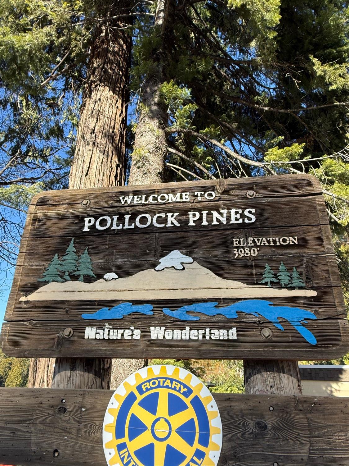 Bucktail, Pollock Pines, California image 10